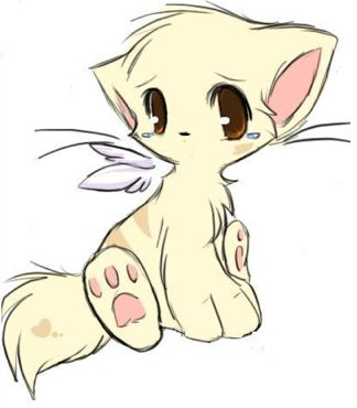 Котик-помощник Avi